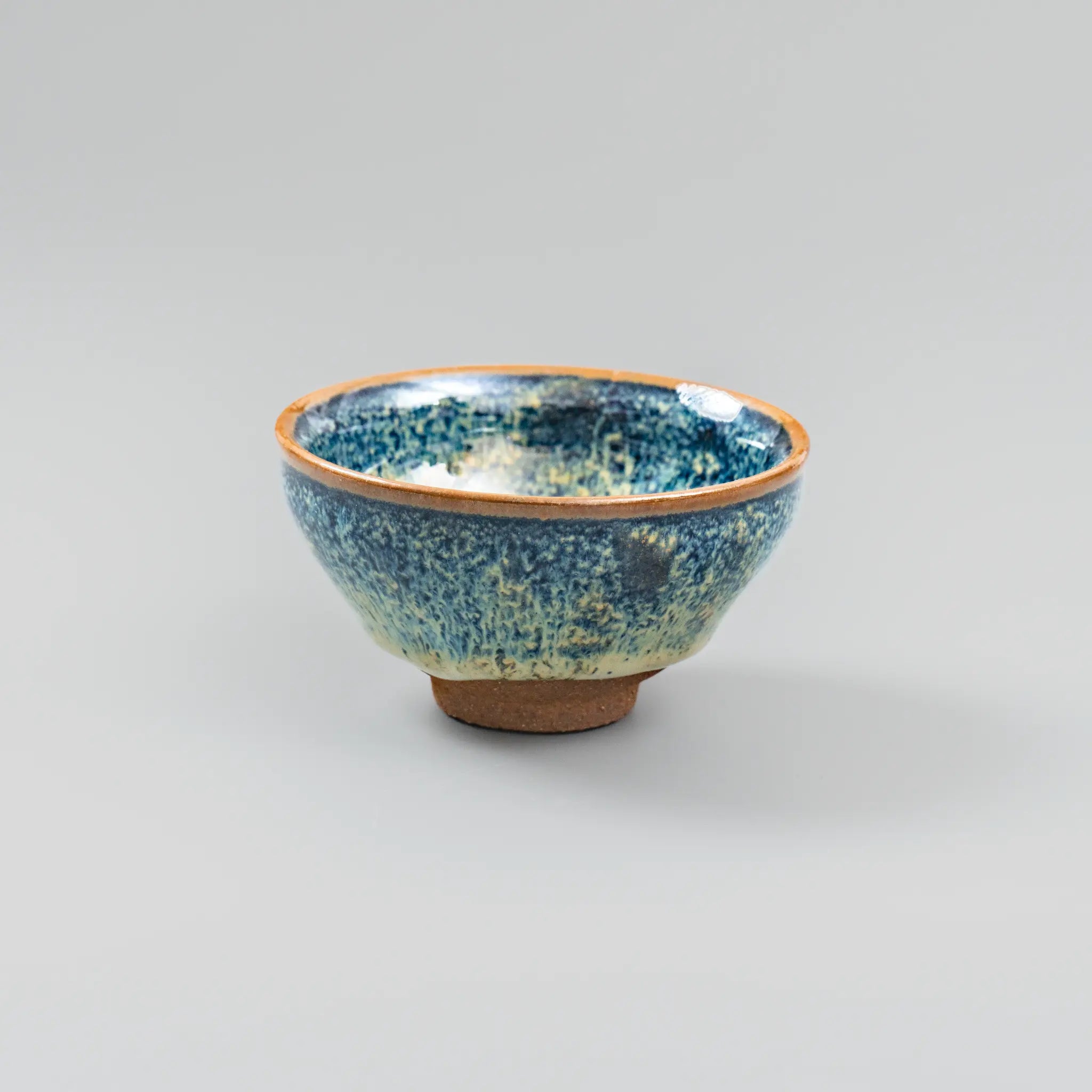 Nebula Singularity Vessel