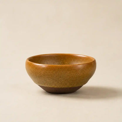 Terra Gold Glaze Jian Ware Bowl