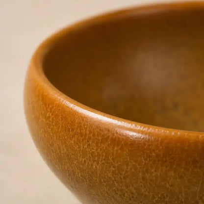 Terra Gold Glaze Jian Ware Bowl